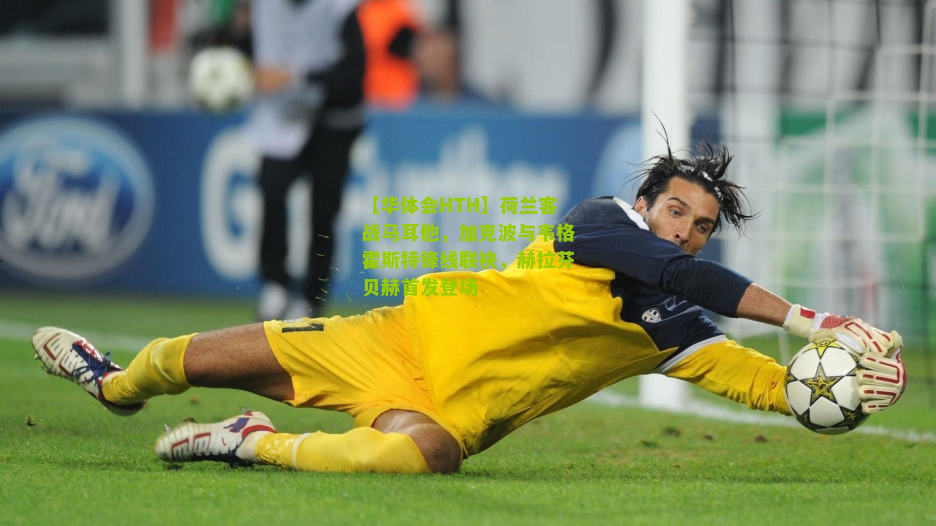 荷兰客战马耳他，加克波与韦格霍斯特锋线联袂，赫拉芬贝赫首发登场