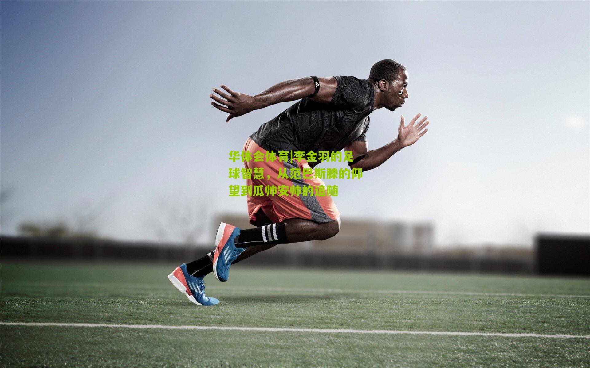 华体会体育|李金羽的足球智慧，从范巴斯滕的仰望到瓜帅安帅的追随