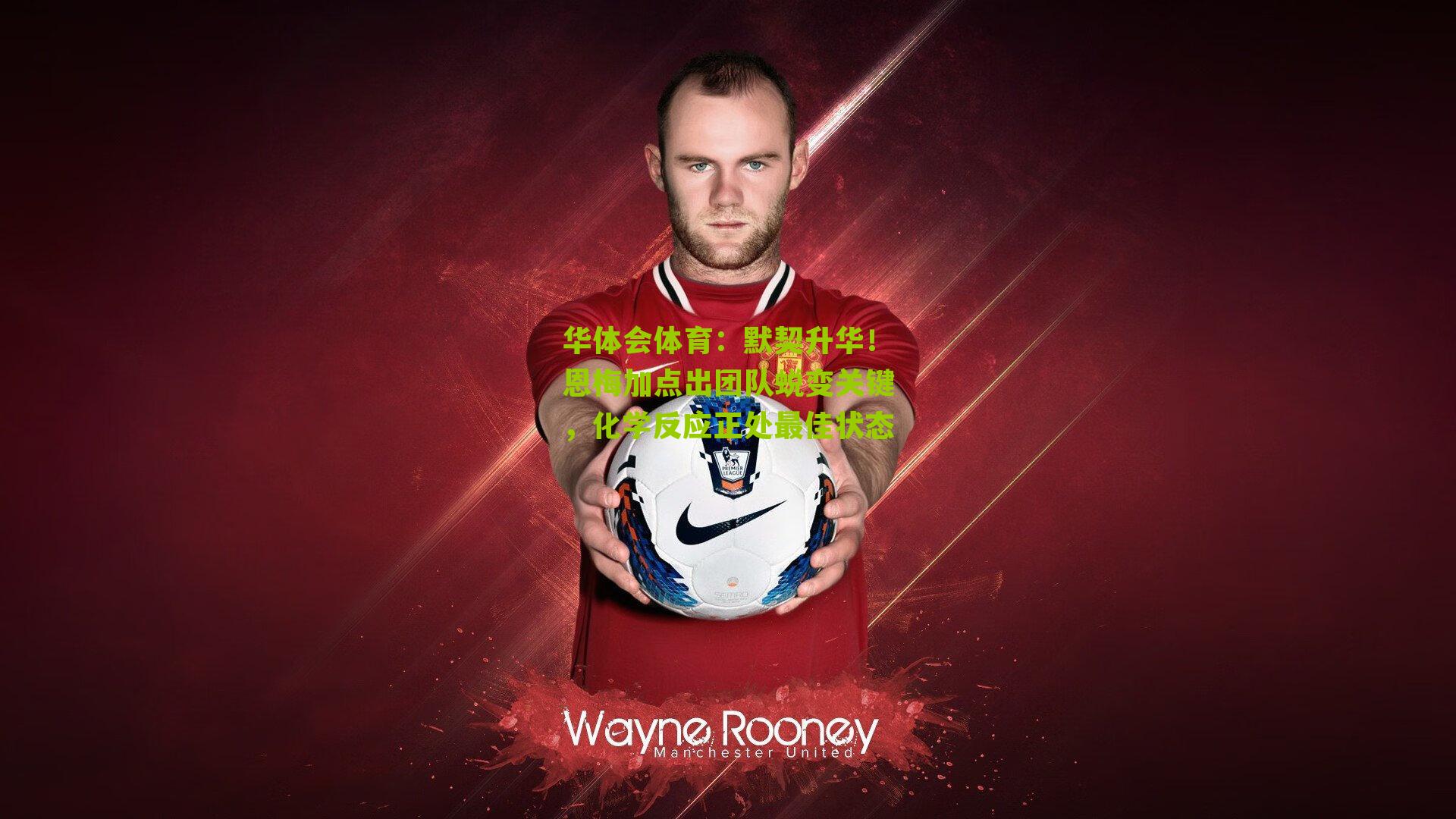 默契升华！恩梅加点出团队蜕变关键，化学反应正处最佳状态